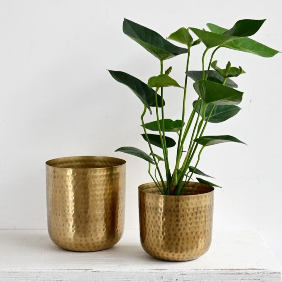 Bobie Flowerpot (Set of 2)