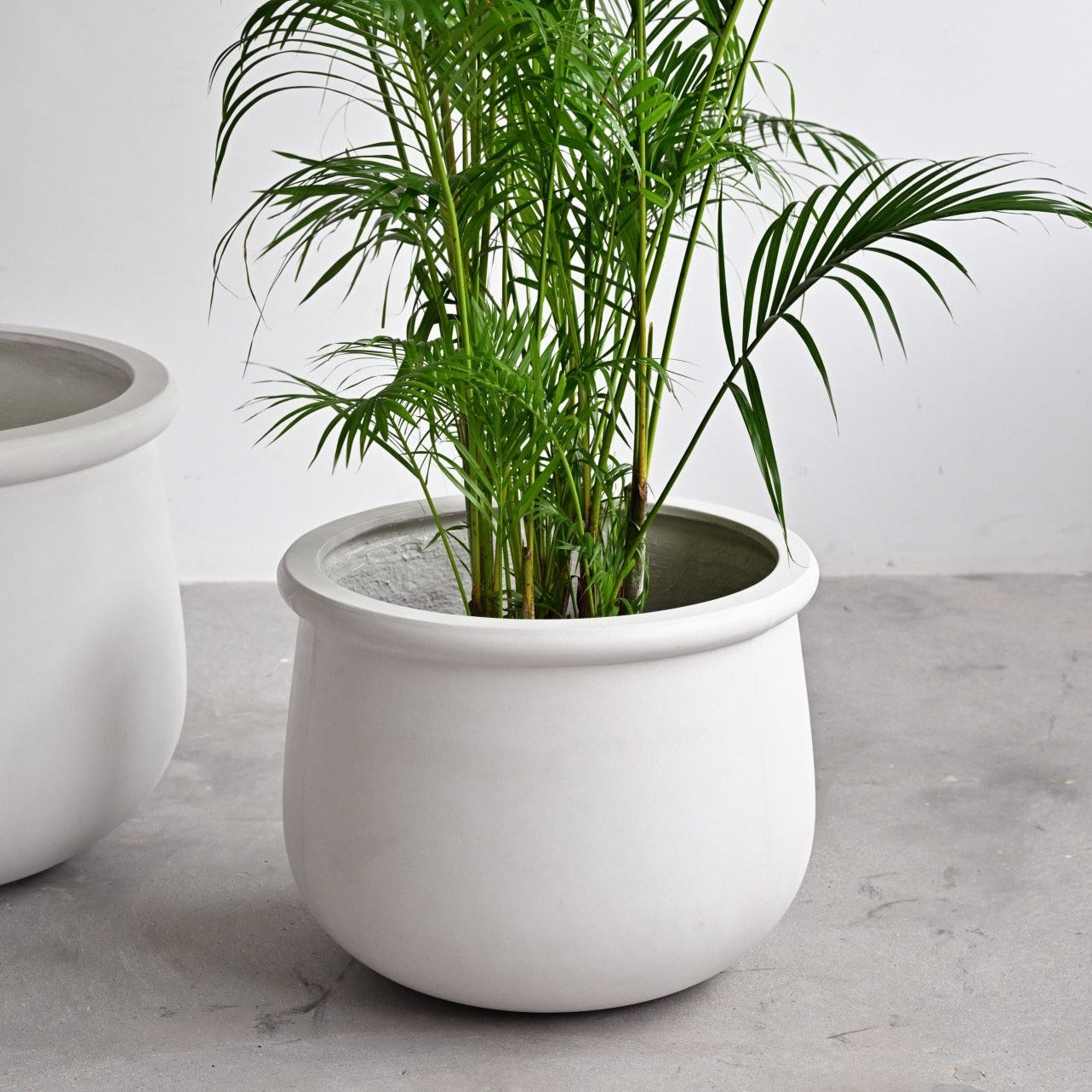 Bronte Concrete Pot - White