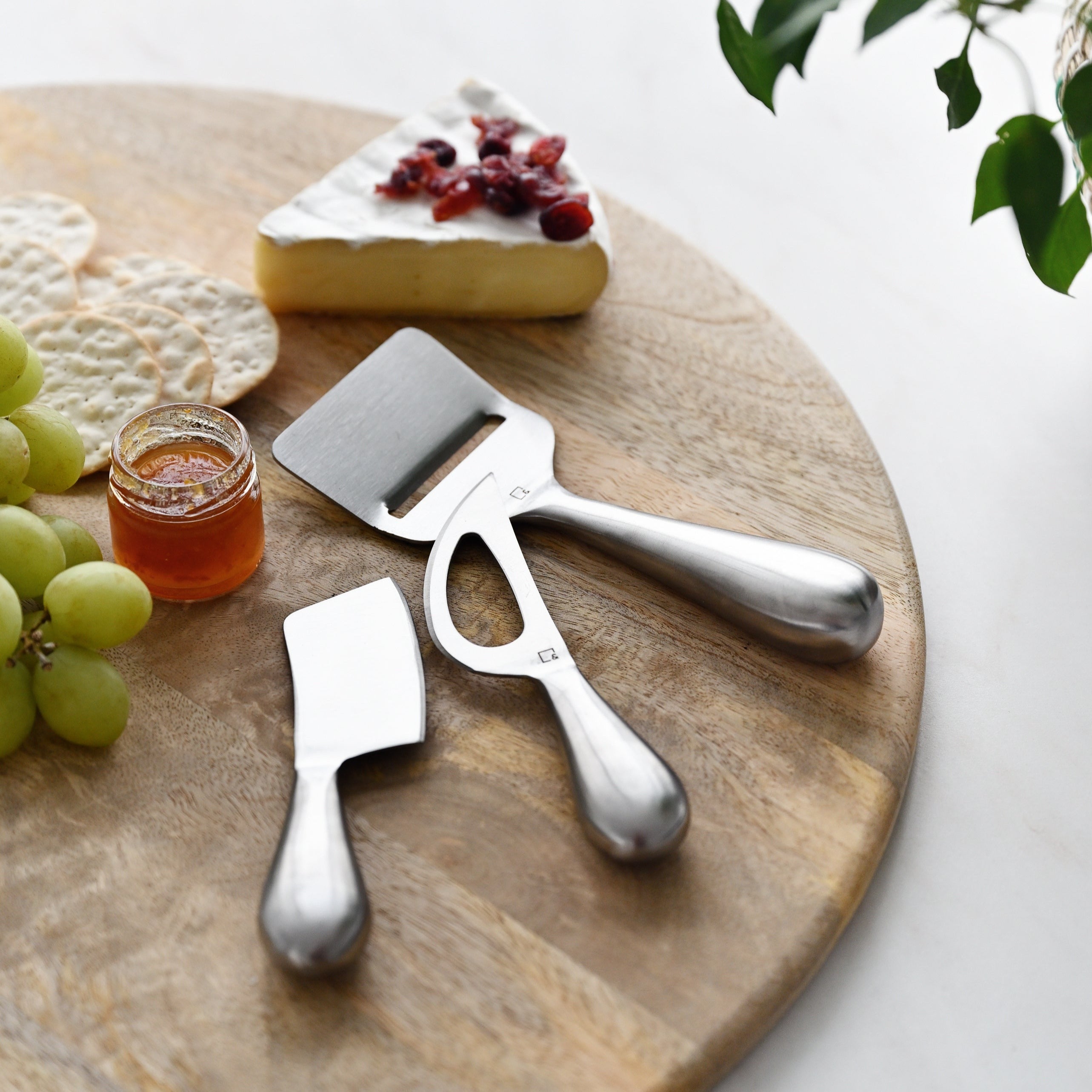 Fromage Cheese Knife (Set of 3)