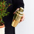 Cocktail Shaker