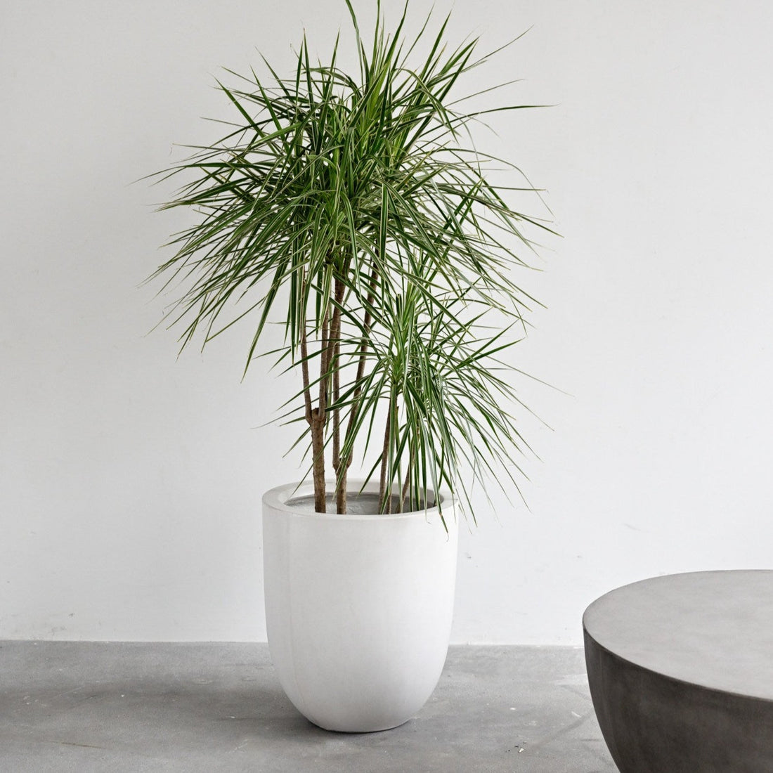 Bullet Concrete Pot - White