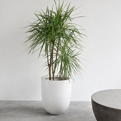 Bullet Concrete Pot - White