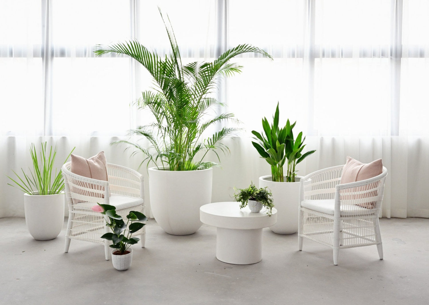 Outdoor Malawi Arm Chair - White