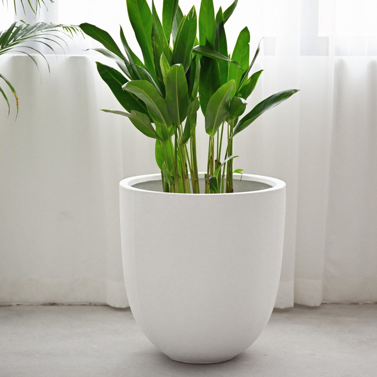 Bullet Concrete Pot - White