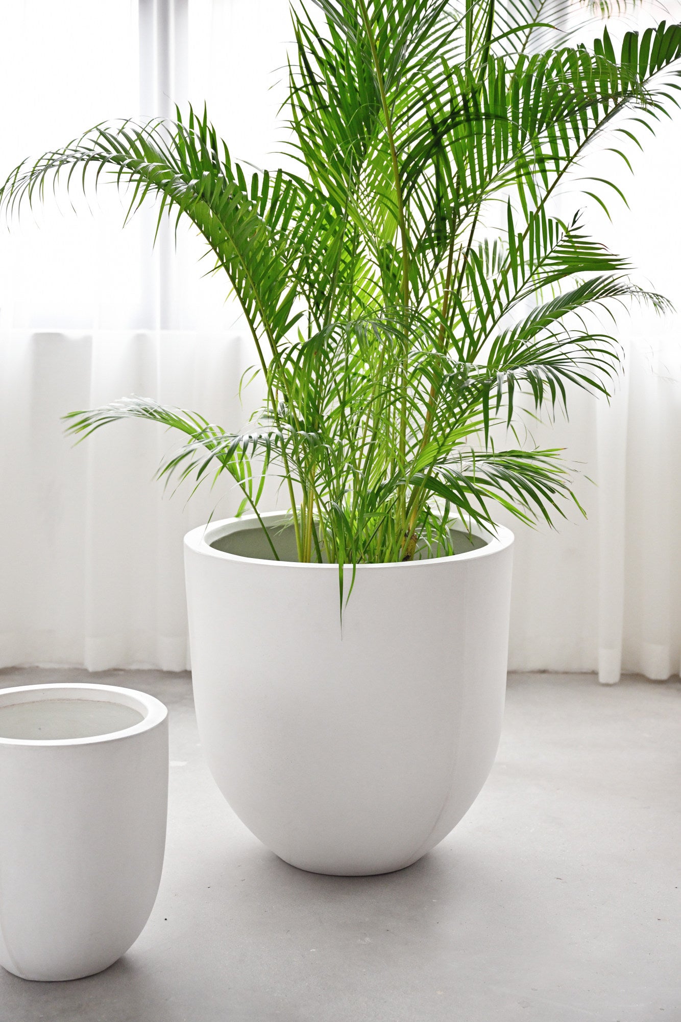 Bullet Concrete Pot - White
