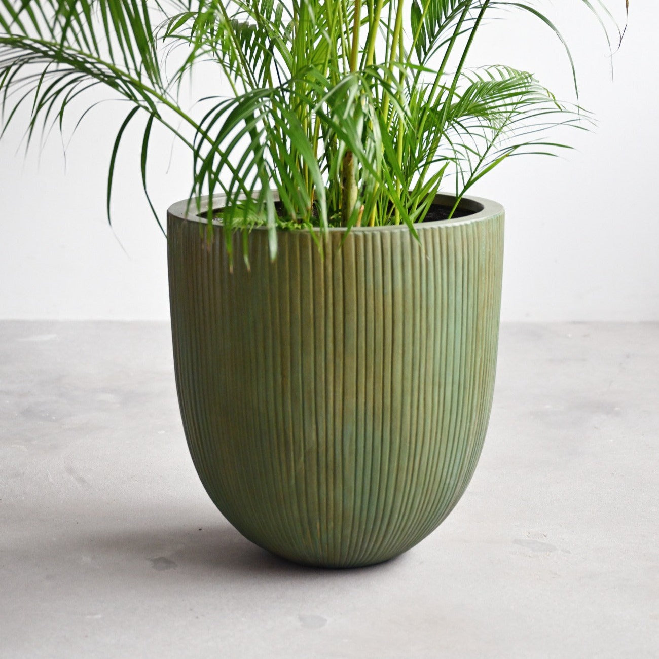 Vinh Concrete Pot - Copper Green