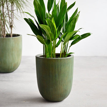 Vinh Concrete Pot - Copper Green