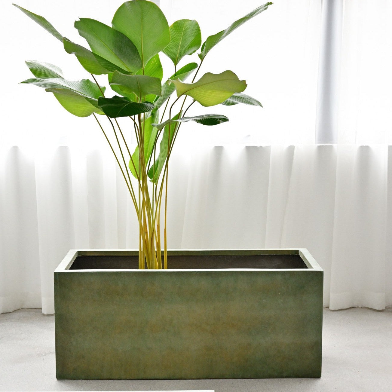 Rectangle Planter Box - Copper Green