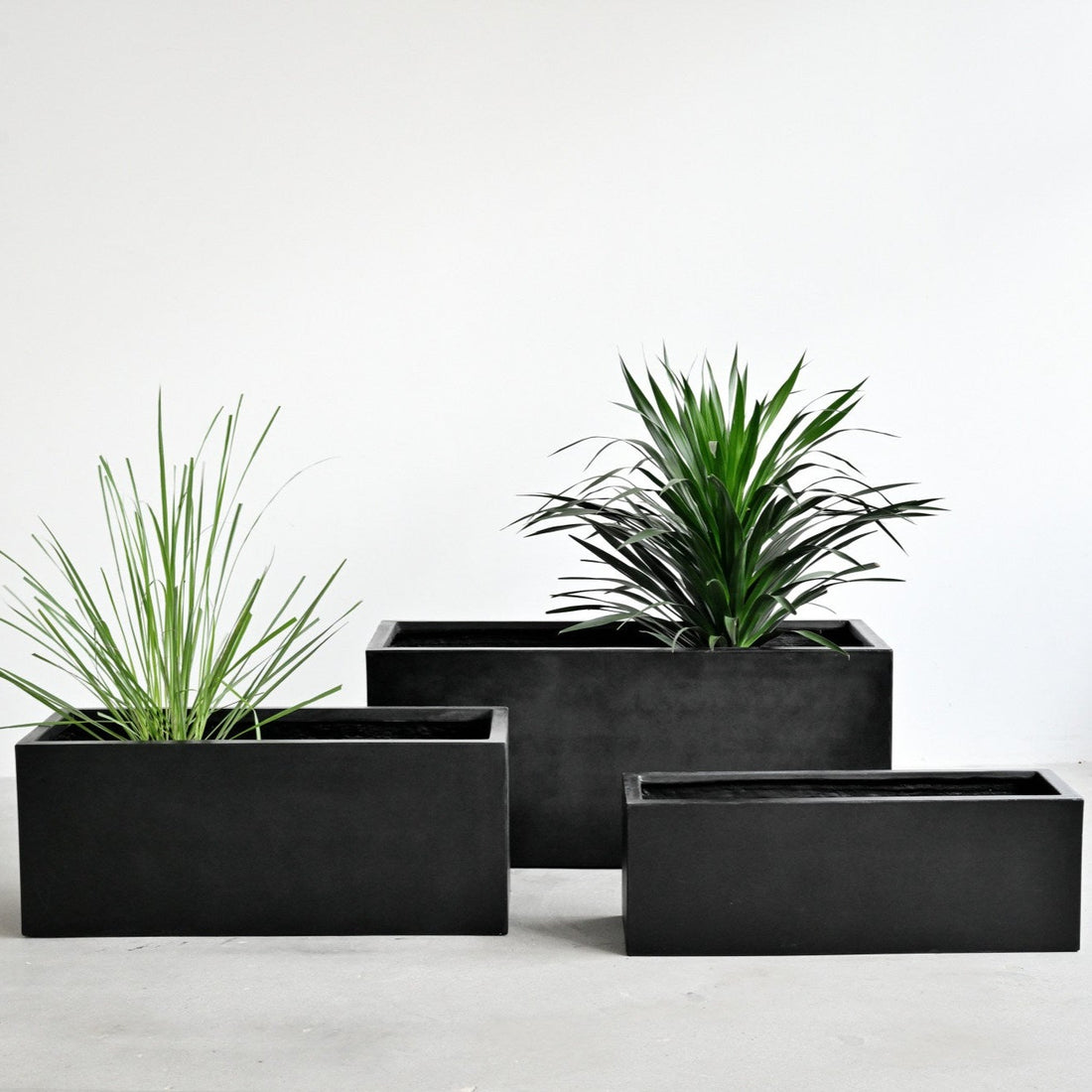 Black Rectangle Planter Box