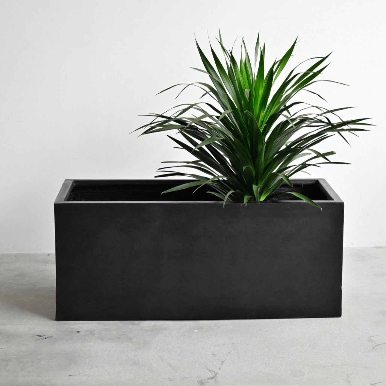 Black Rectangle Planter Box