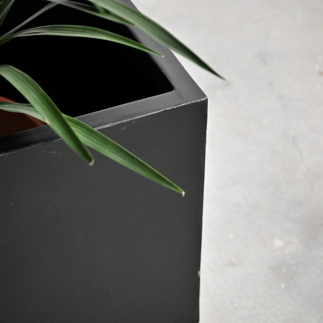 Black Rectangle Planter Box