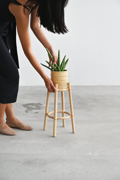 Dew Plant Stand