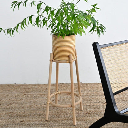 Dew Plant Stand