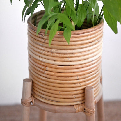 Dew Plant Stand