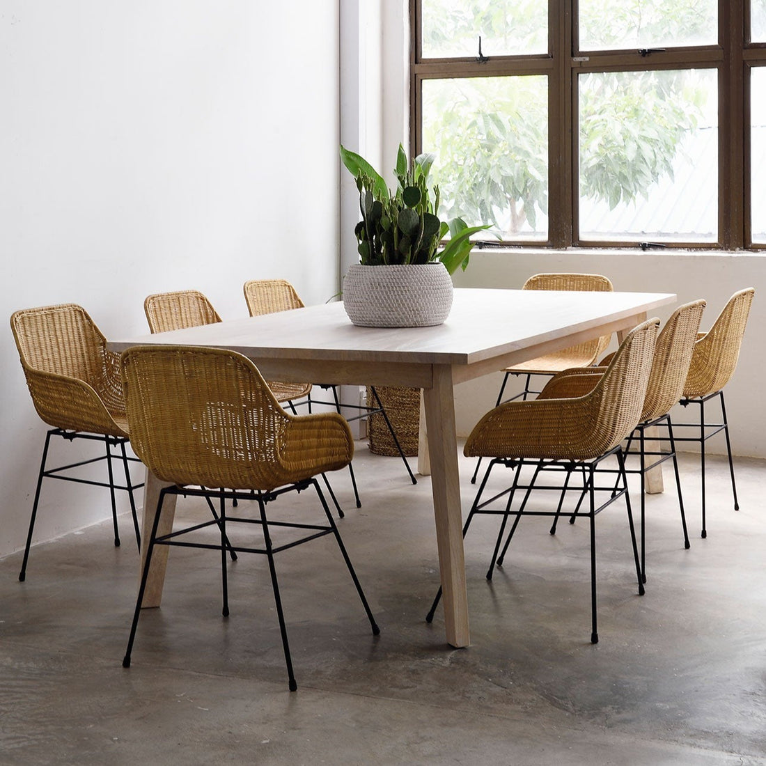 Gili Dining Table in white wash - Furniture