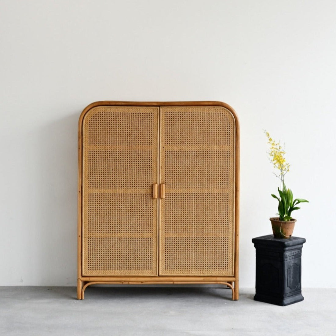 Isola 2 door rattan cabinet