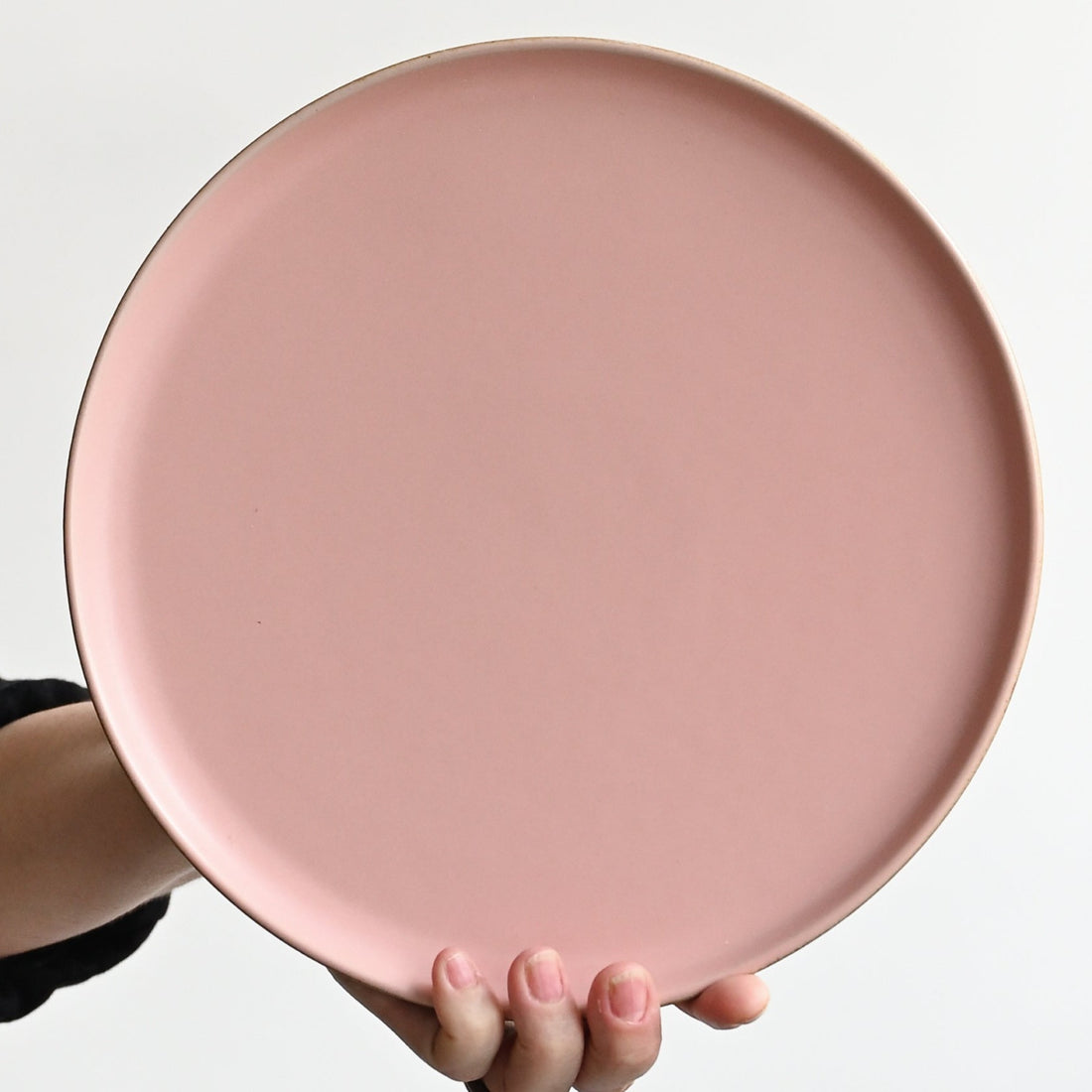 Rose Pink Dinner Plate