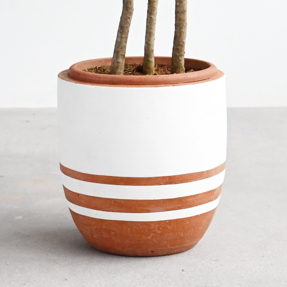 Mozambique Pot - Terracotta Stripes
