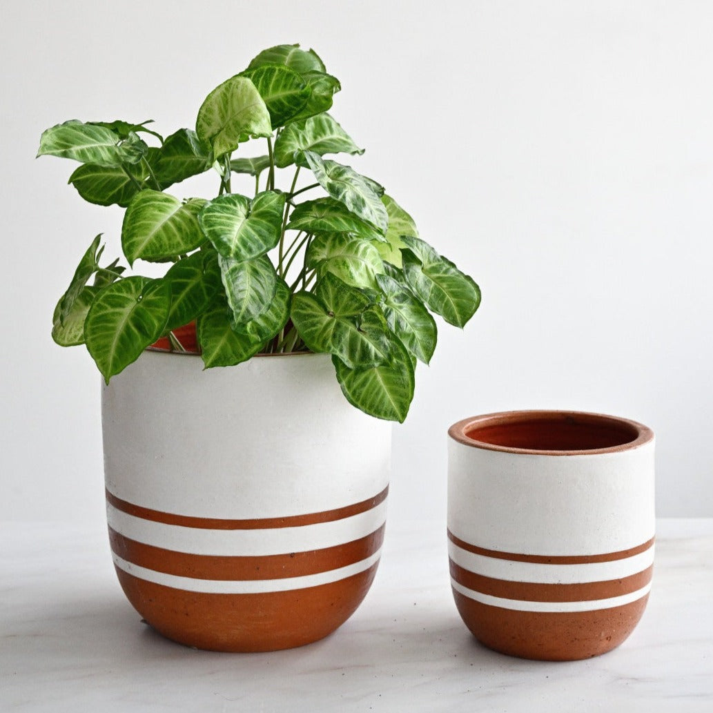 Pots & Planters