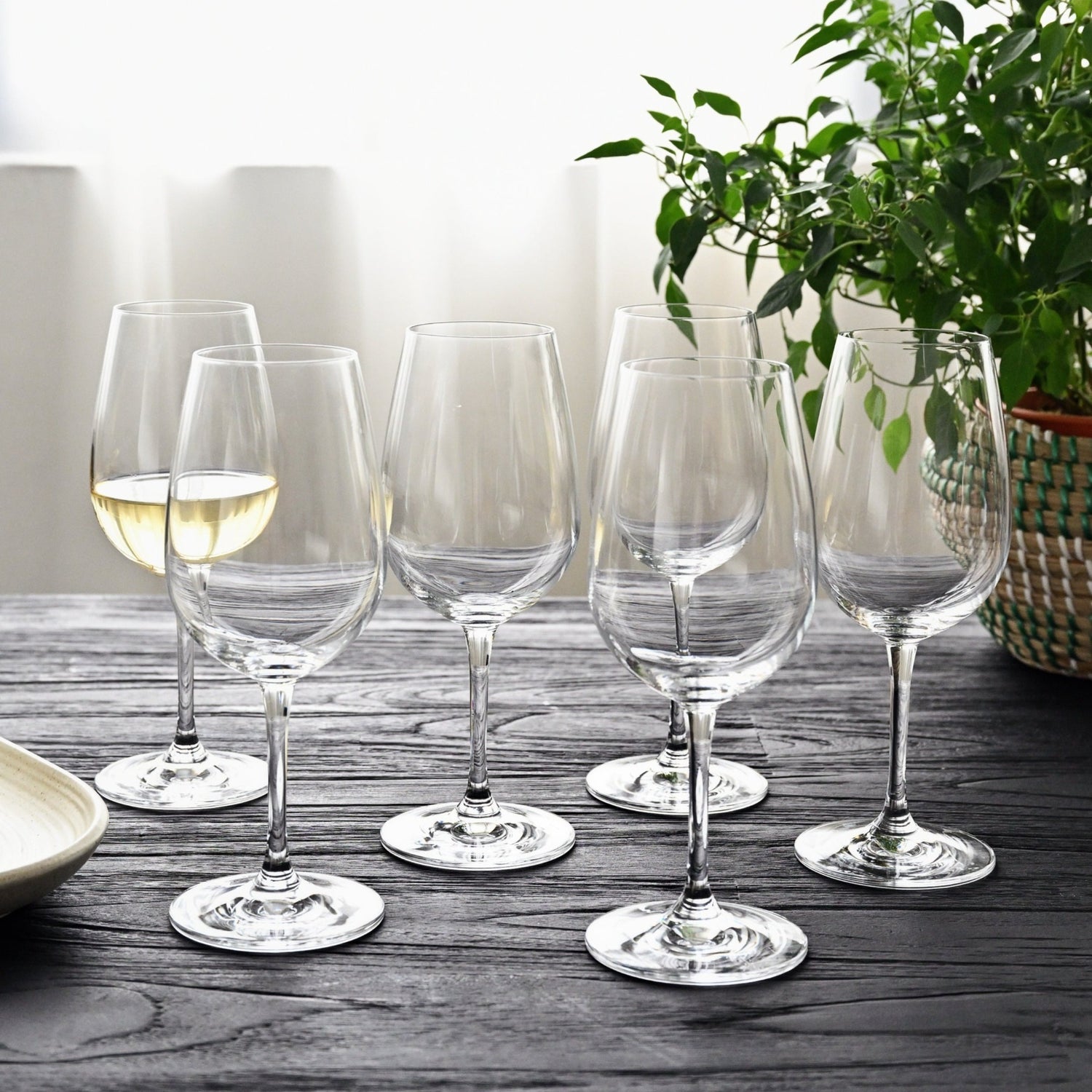 Salut White Wine Glass (Set of 6)