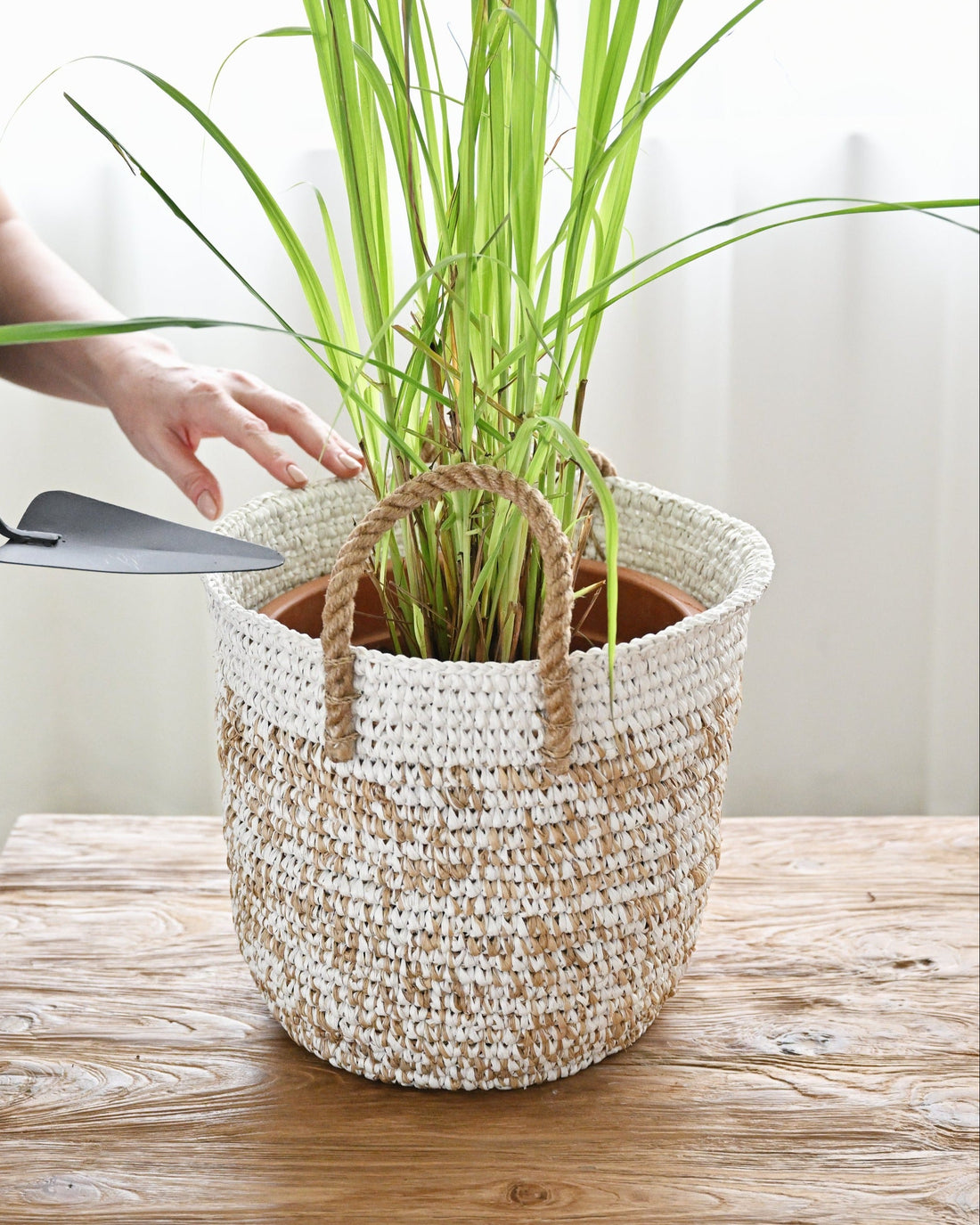 Sentosa Water Hyacinth Basket