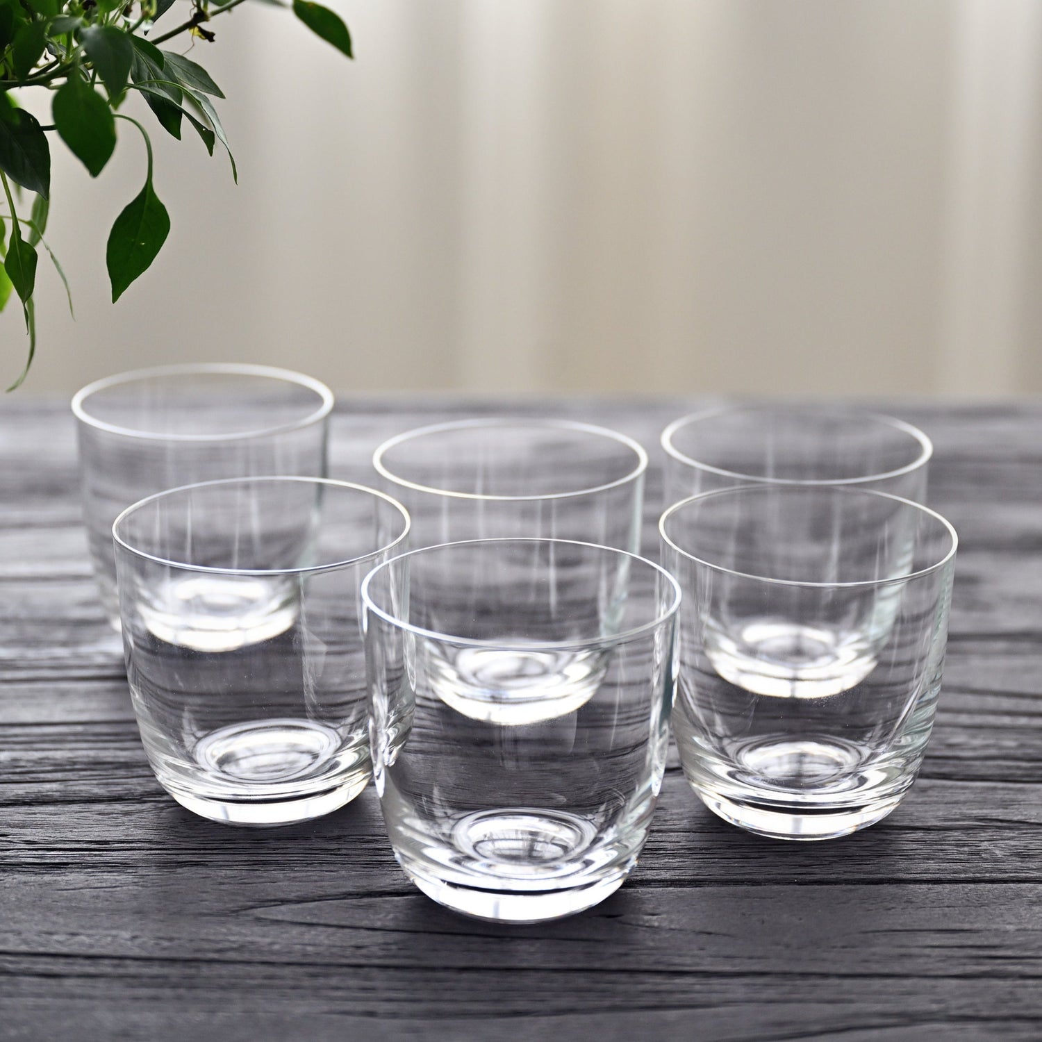 Salut Tumbler (Set of 6)
