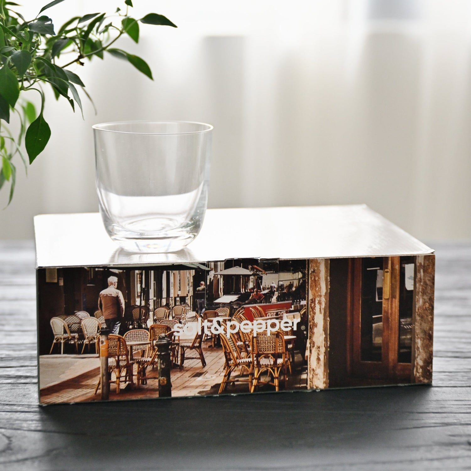 Salut Tumbler (Set of 6)