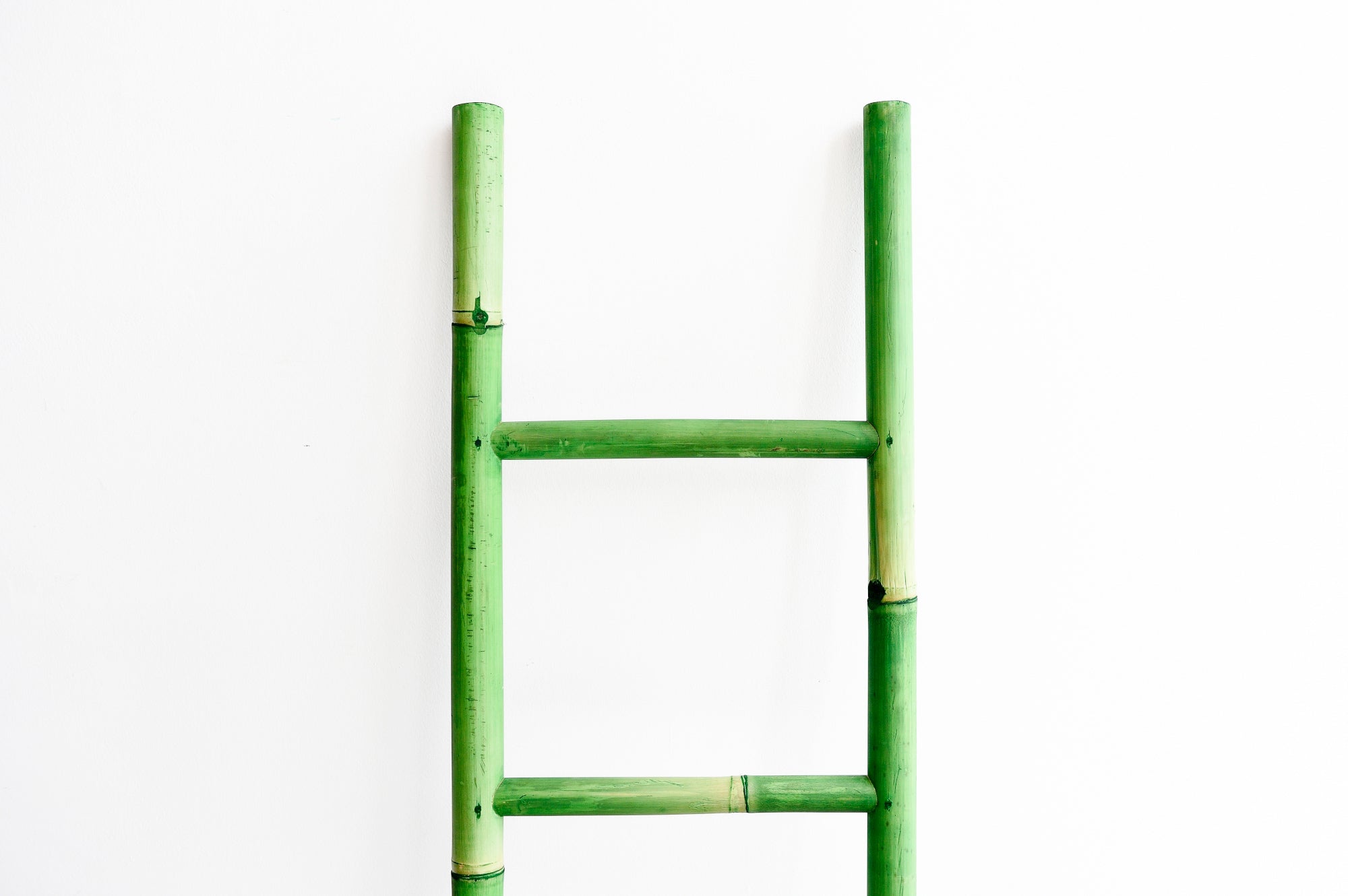 Green Bamboo Ladder close up