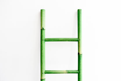 Green Bamboo Ladder close up