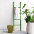 Green Bamboo Ladder