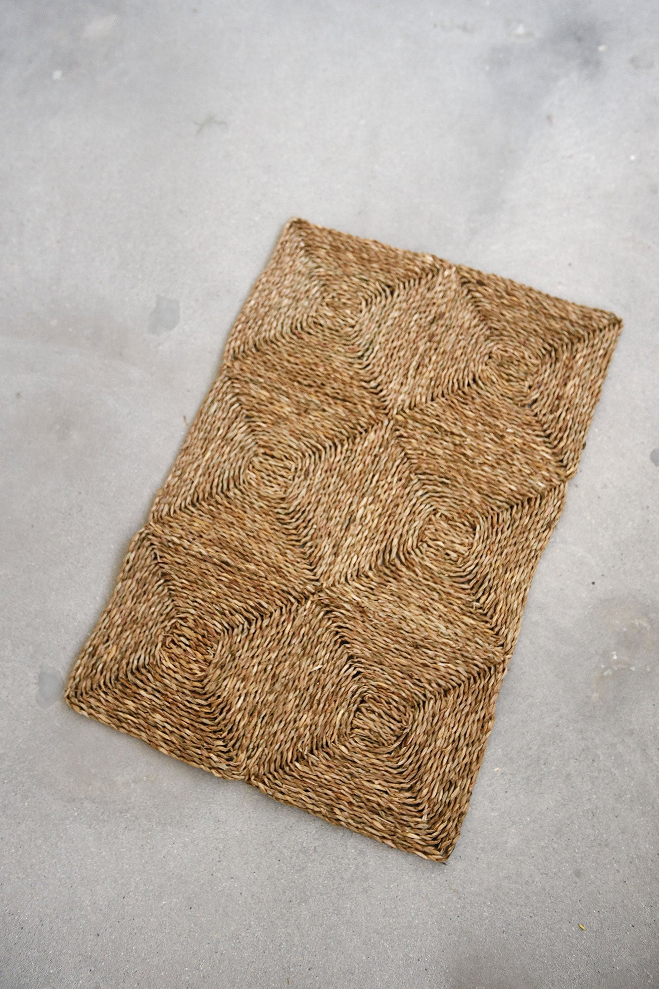 Emmet Seagrass Rug