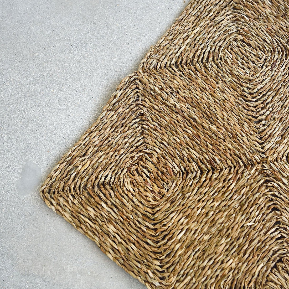 Emmet Seagrass Rug