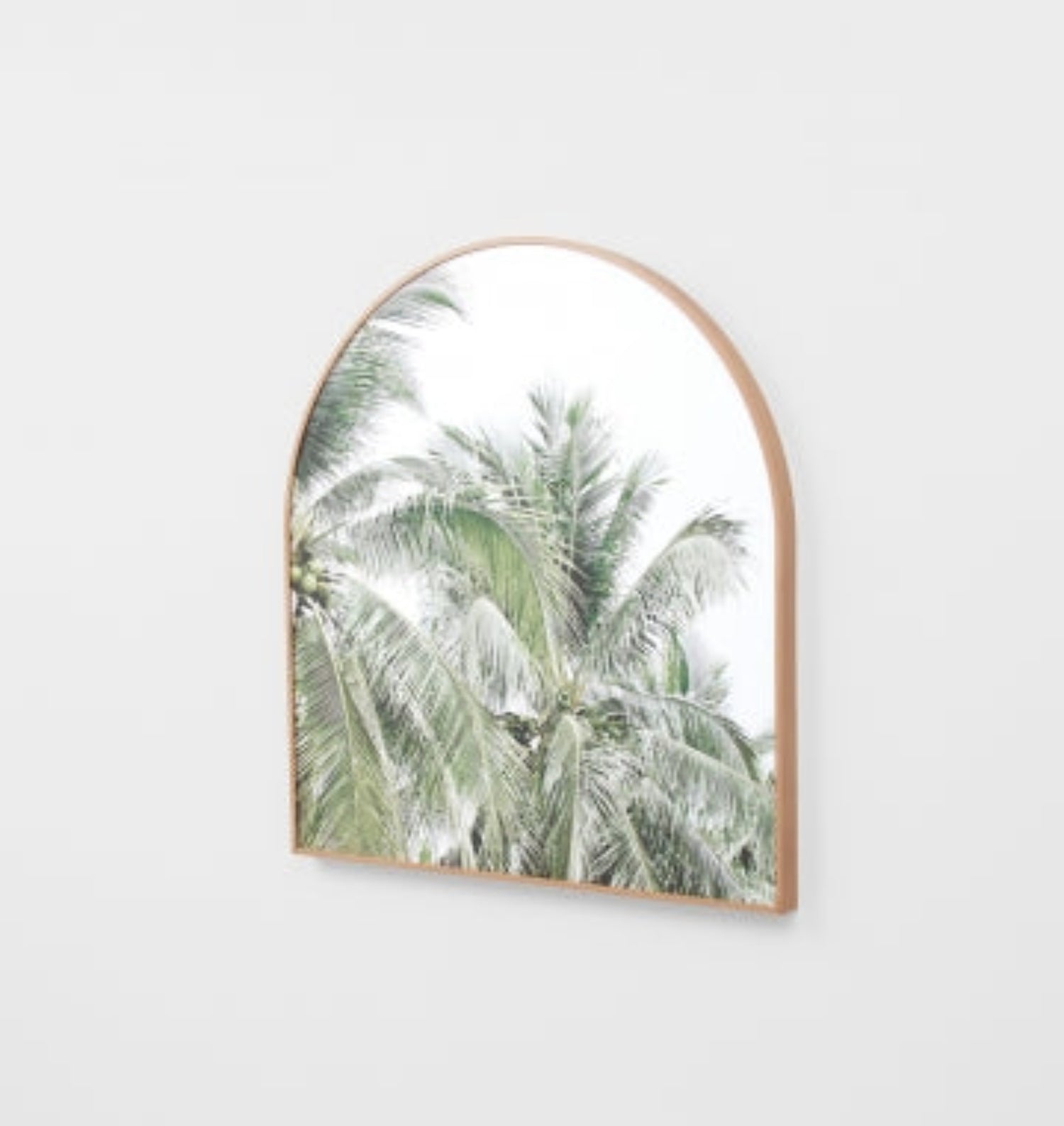 Faded Palms Framed Canvas Arch