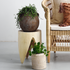 Suar Wood Stool - Natural - Furniture