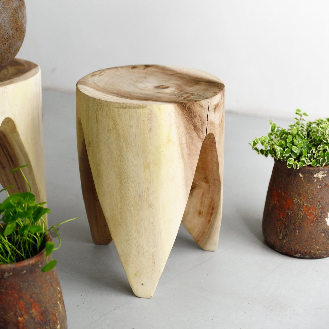 Suar Wood Stool - Natural - Furniture