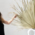 Tall Palm Leaf Fronds - Decor