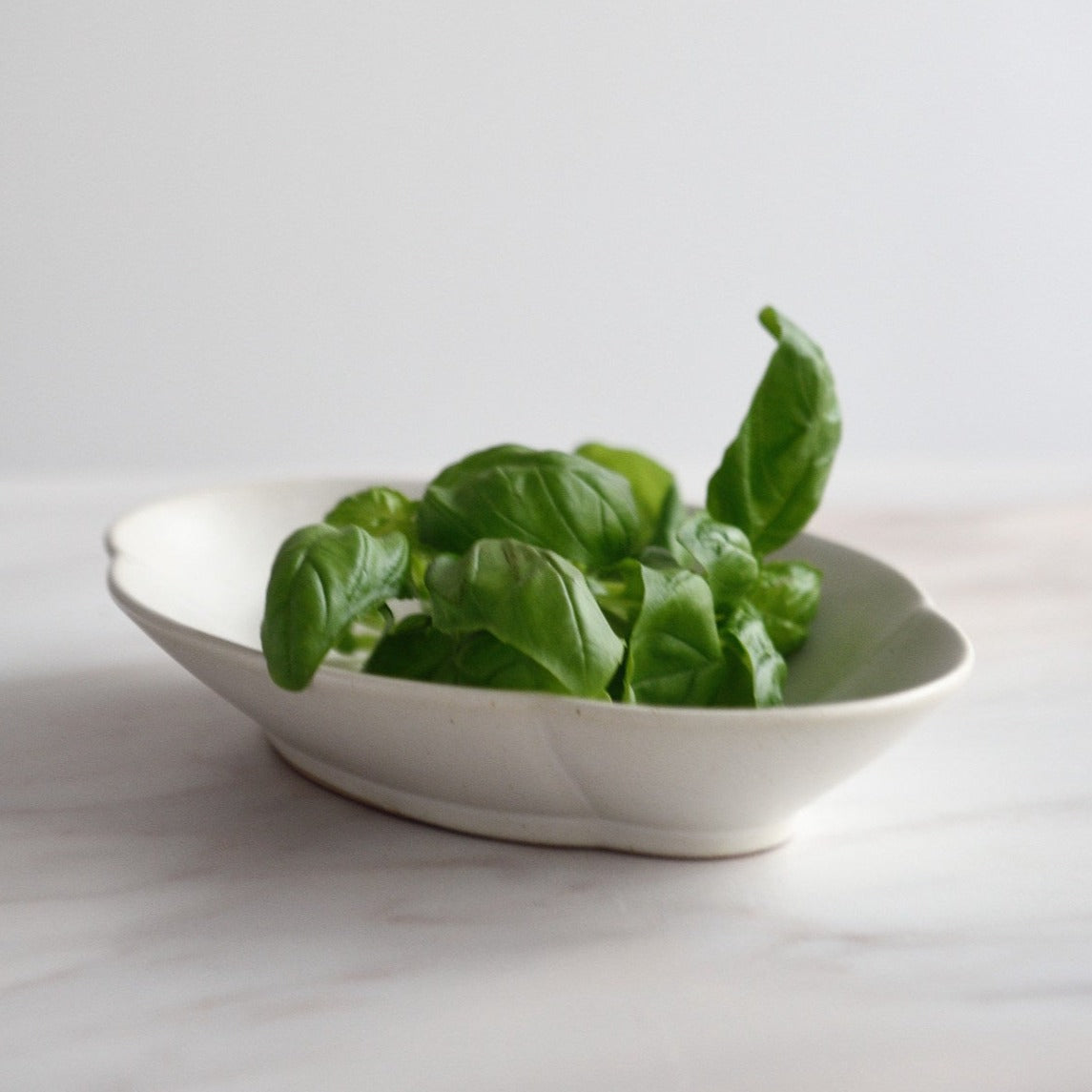 Speckled White Cloud Shaped Plate